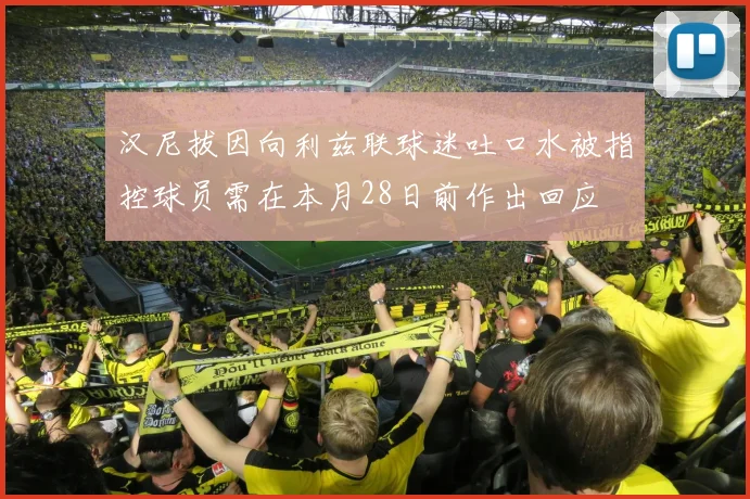 汉尼拔因向利兹联球迷吐口水被指控球员需在本月28日前作出回应