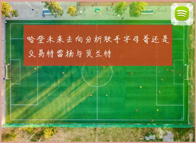 哈登未来去向分析联手字母哥还是交易特雷杨与莫兰特