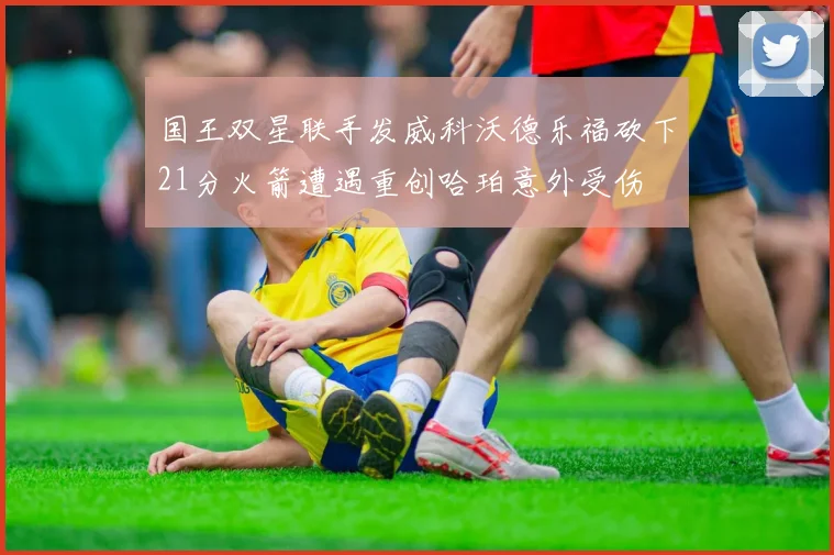 国王双星联手发威科沃德乐福砍下21分火箭遭遇重创哈珀意外受伤
