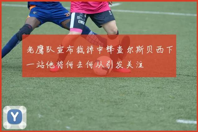 老鹰队宣布裁掉中锋查尔斯贝西下一站他将何去何从引发关注